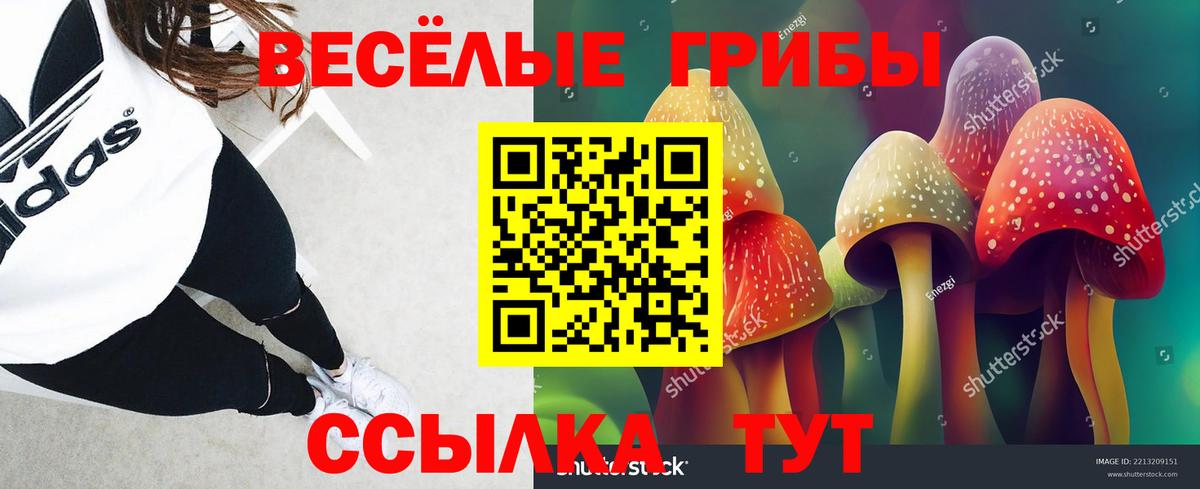 Псилоцибиновые грибы GOLDEN TEACHER Лениногорск