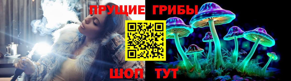 цены   Галлюциногенные грибы MAGIC MUSHROOMS  Псилоцибиновые грибы Magic Shrooms  Вход с VPN  Лениногорск 
